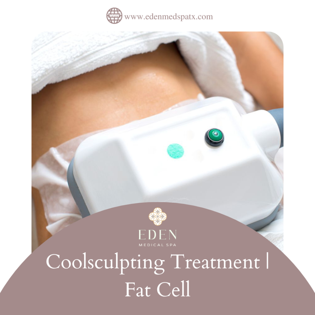 Coolsculpting Treatment Fat Cell 1024x1024 1